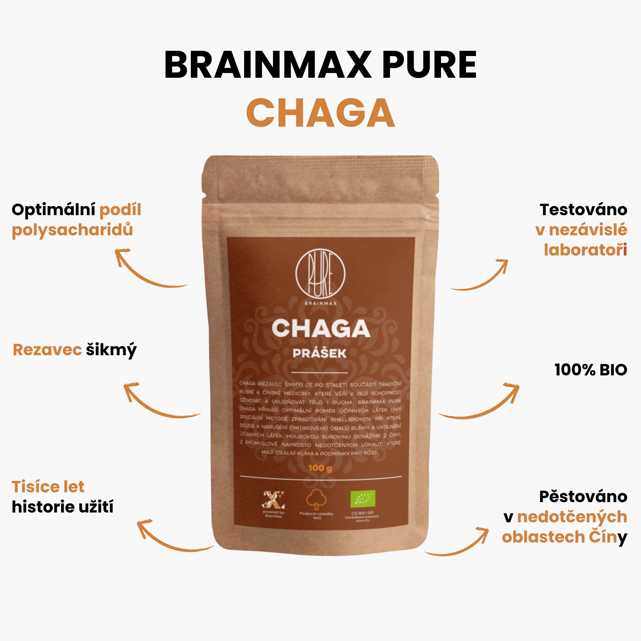 BrainMax Pure Chaga prášek